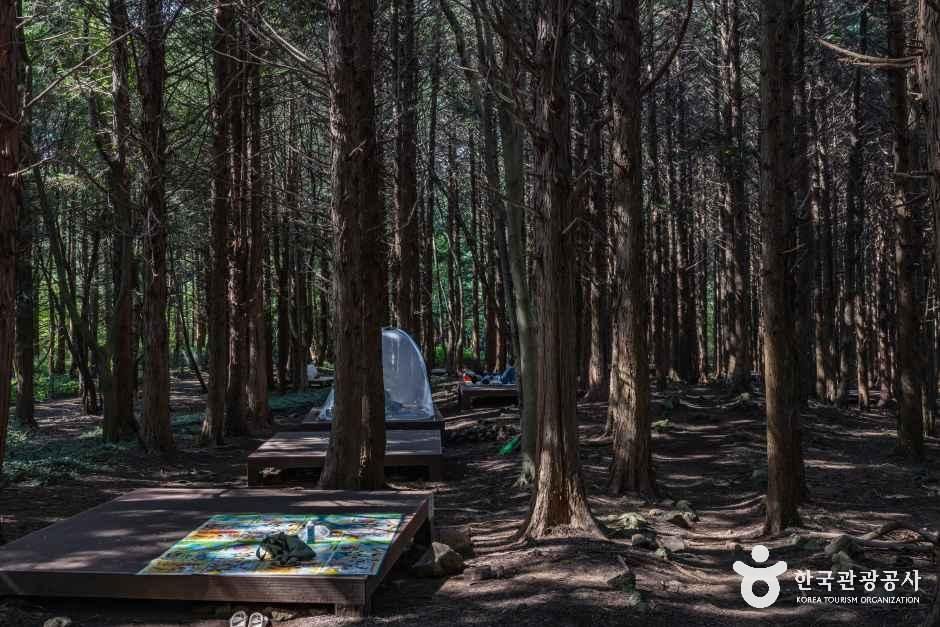 아라동 치유의 숲