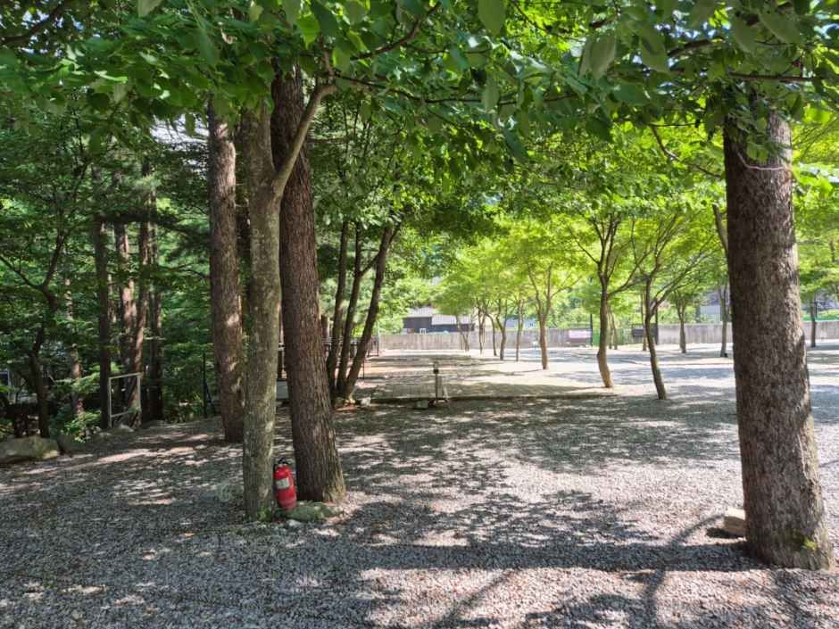 평창하늘캠핑장