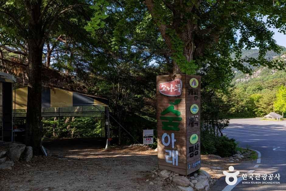 소나무숲아래캠핑장 - 충청북도 충주시 수안보면 미륵리사지길 29 관광 명소