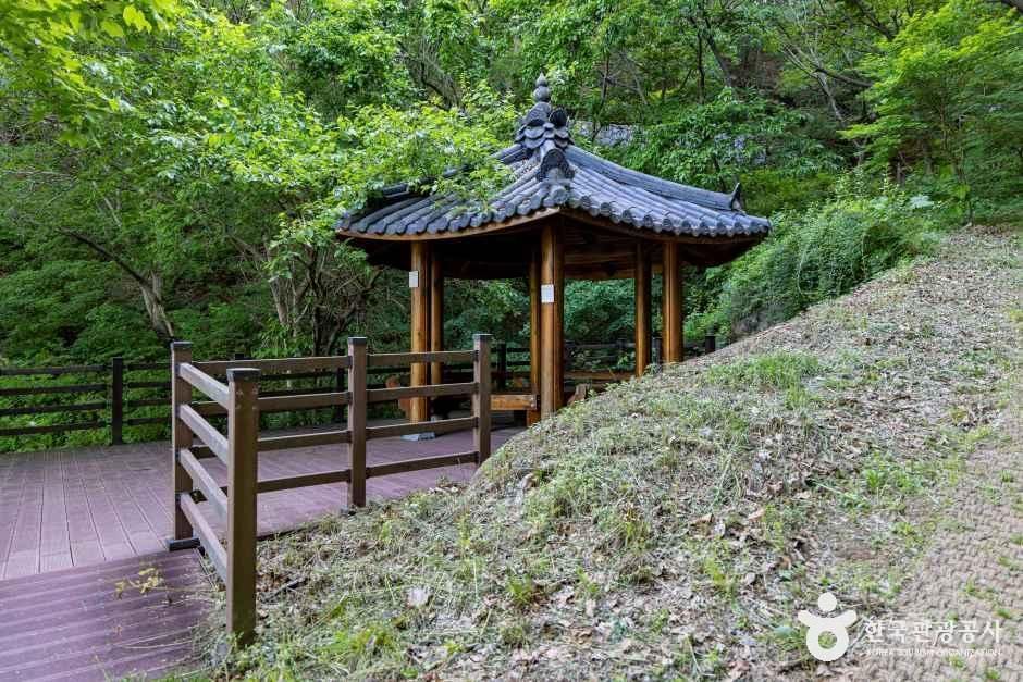 향수호수길