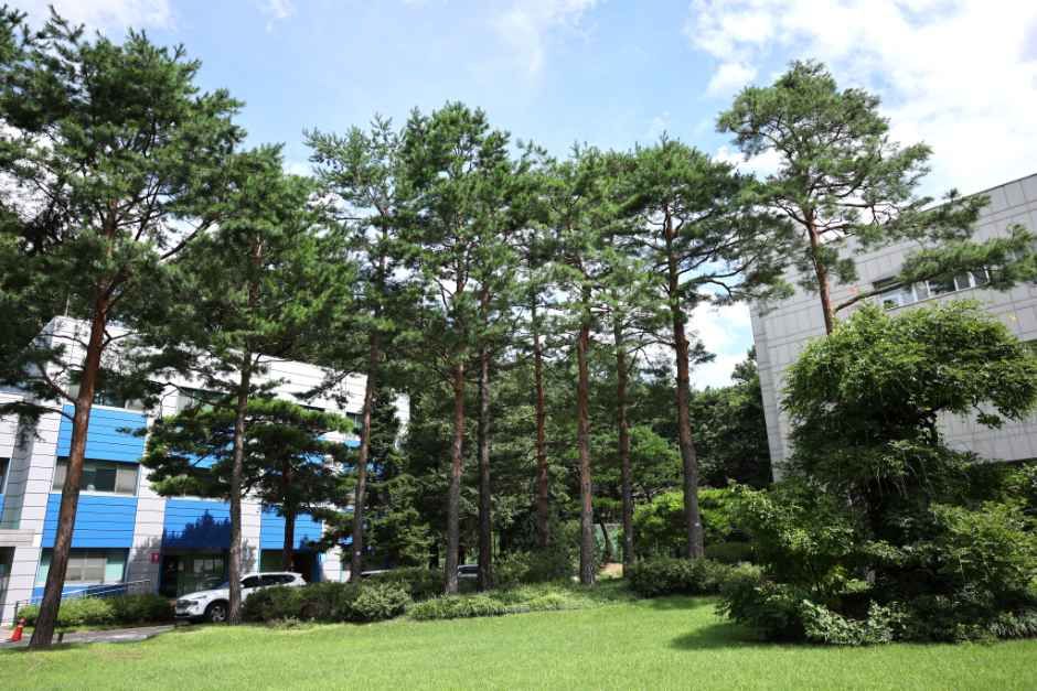 국립산림과학원(홍릉시험림)