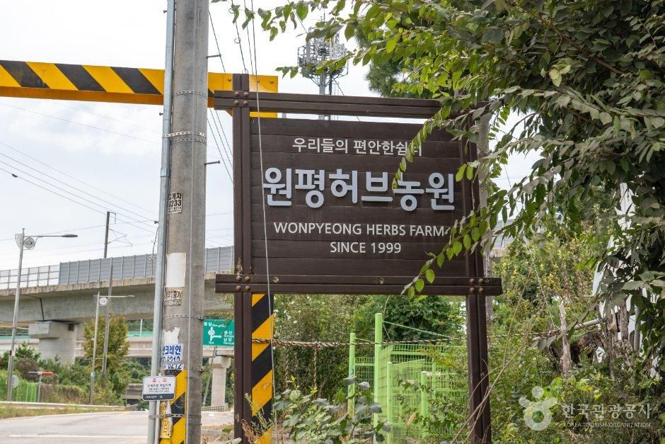 원평허브농원