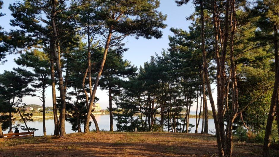 대부도아라뜰캠핑장
