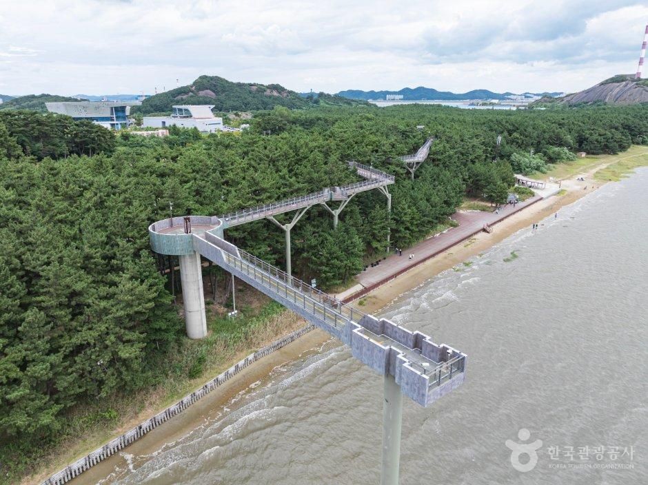 충남_서천군_장항 스카이워크 (기벌포 해전 전망대) (7).jpg
