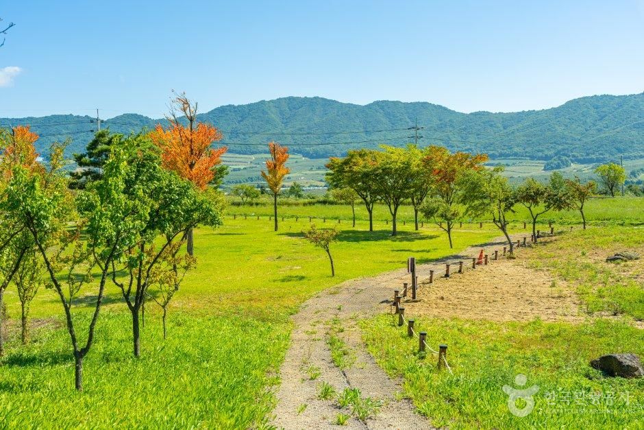해안야생화공원