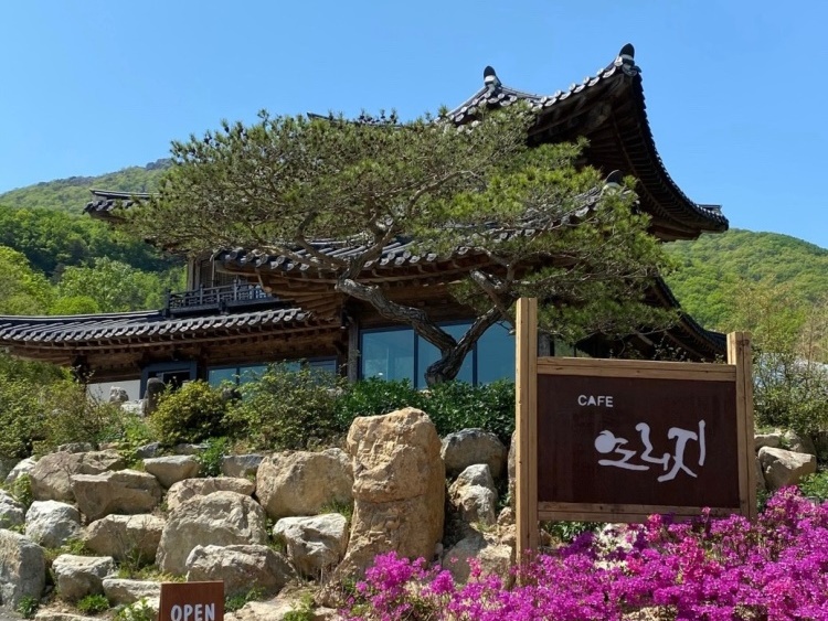连理枝