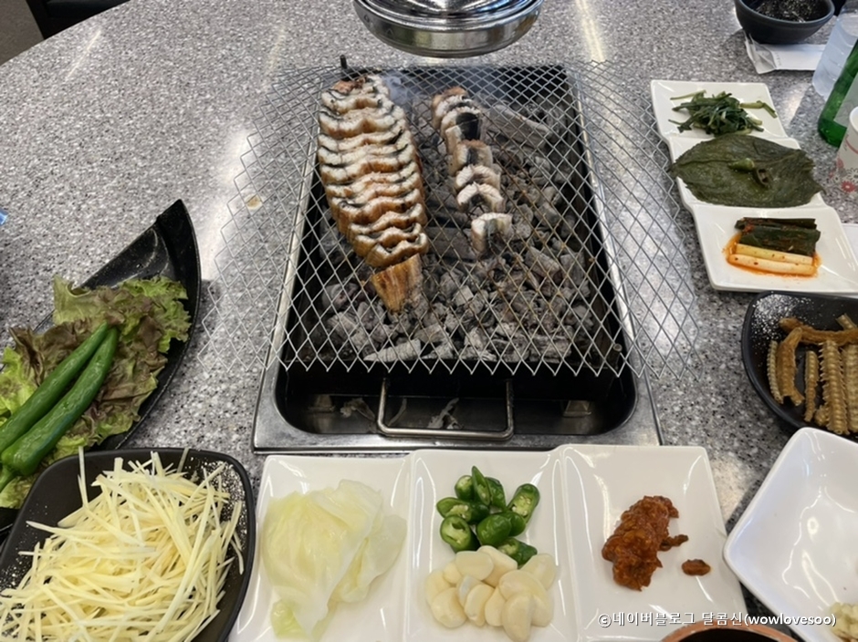 ウナギ島