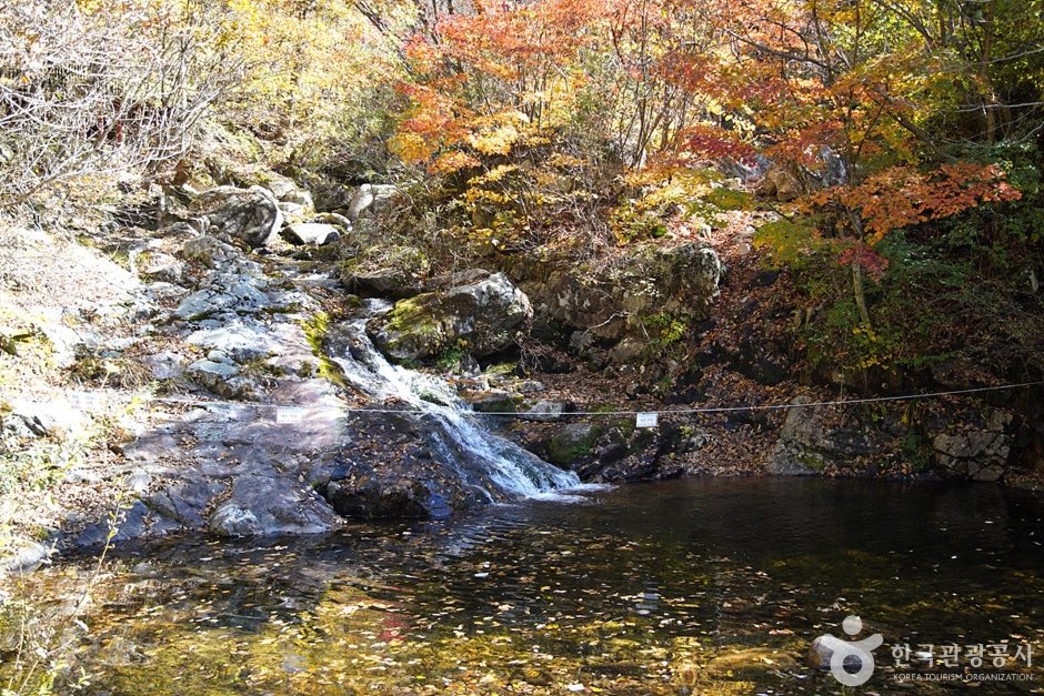 福主山自然休养林