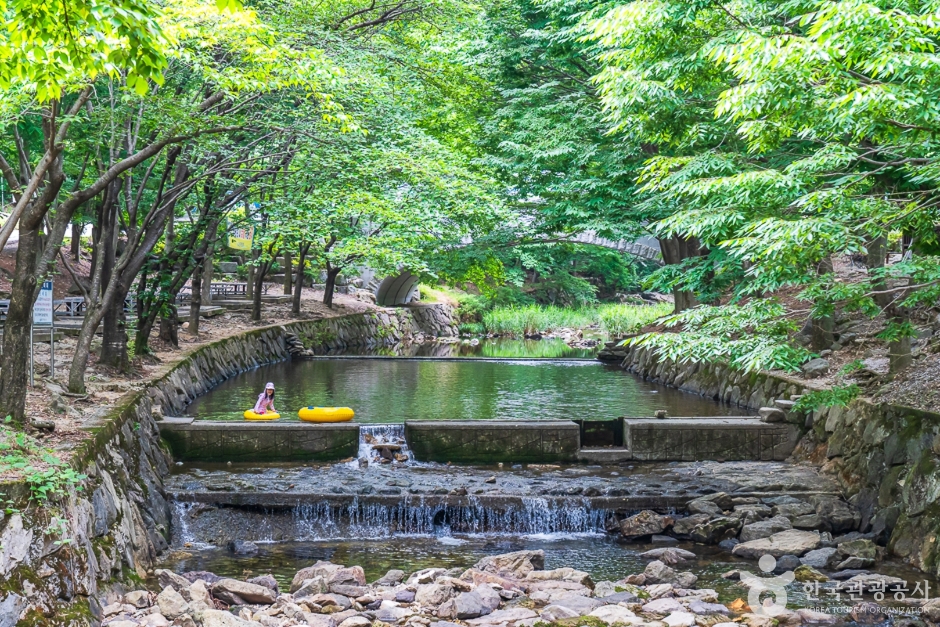 高山自然休養林