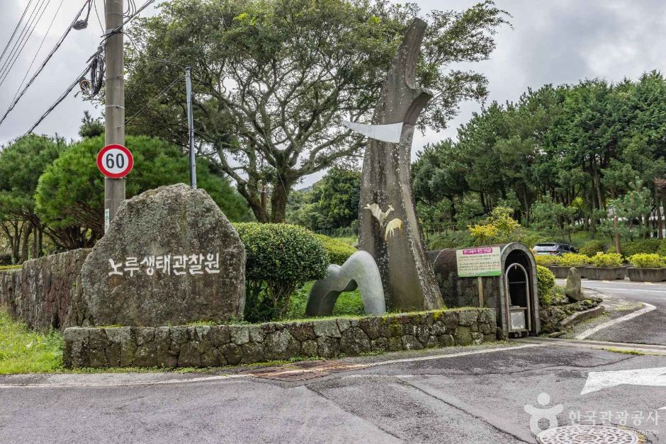 济州獐子生态观察园