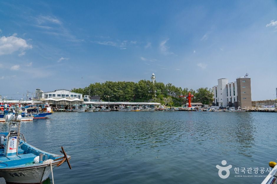 梧湖港