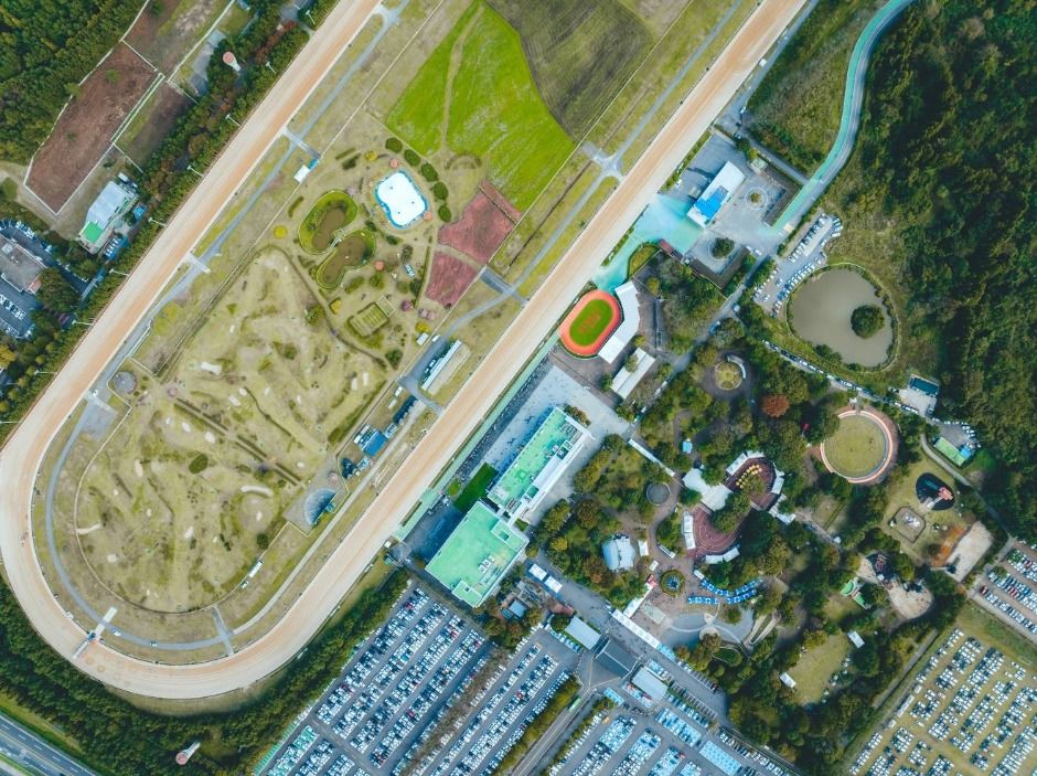 Jeju Horse Festival