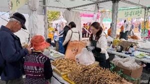 2025 홍천 인삼한우 명품축제 1