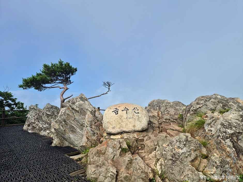 단양_금수산 (3).jpg