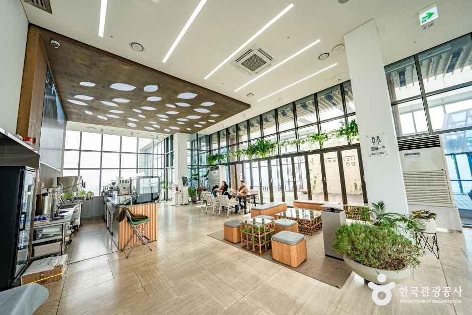 天安タウンホール