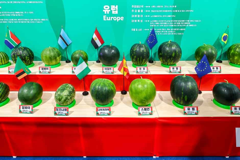 2026 함안세계수박축제 (1).jpg