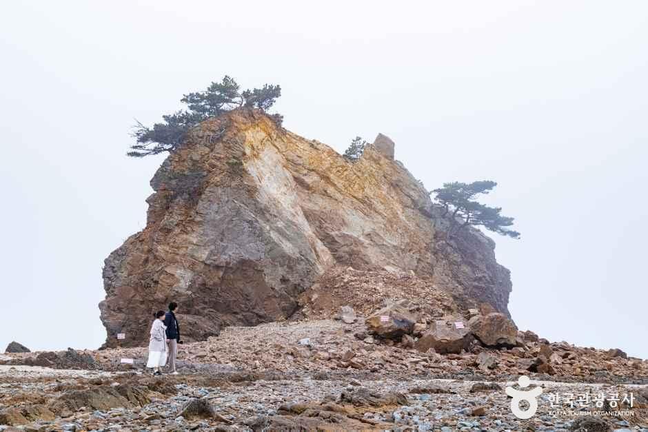 꽃지해수욕장