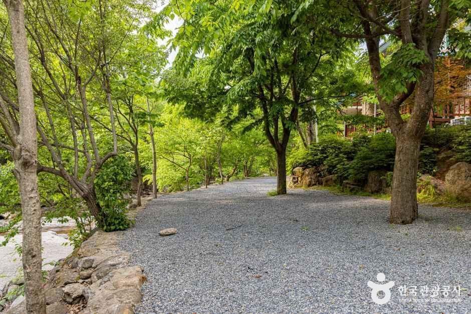 덕동소풍가는날 펜션캠핑장