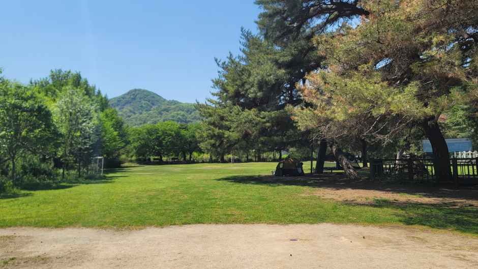 창원마법의정원