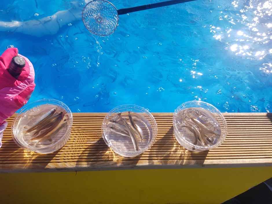 서울레저파크 어린이회관 눈썰매장