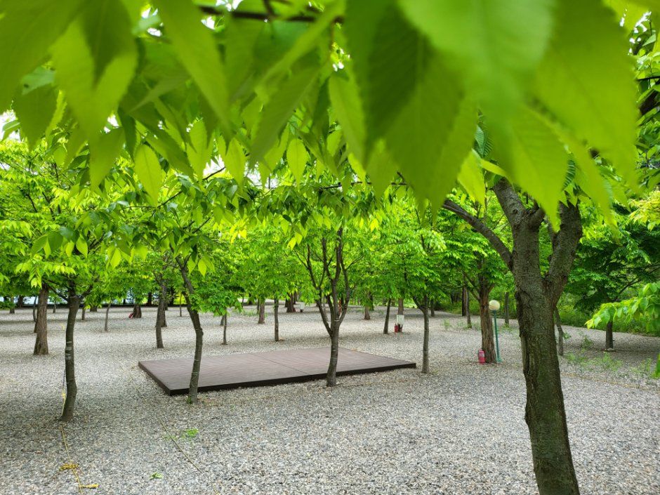 메타피아 오래캠핑장 사진 2