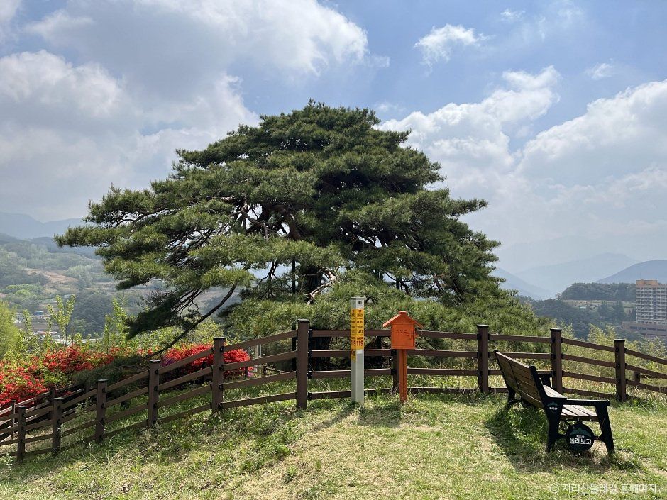 [지리산둘레길] 인월-금계 - 전북특별자치도 남원시 인월면 인월2길 95 관광 명소