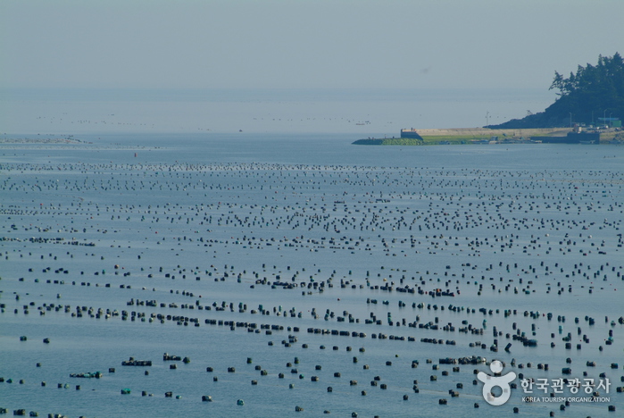 금갑해변 금갑해변