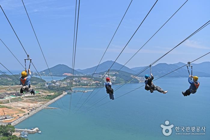 Starry Sea of Yeosu 1