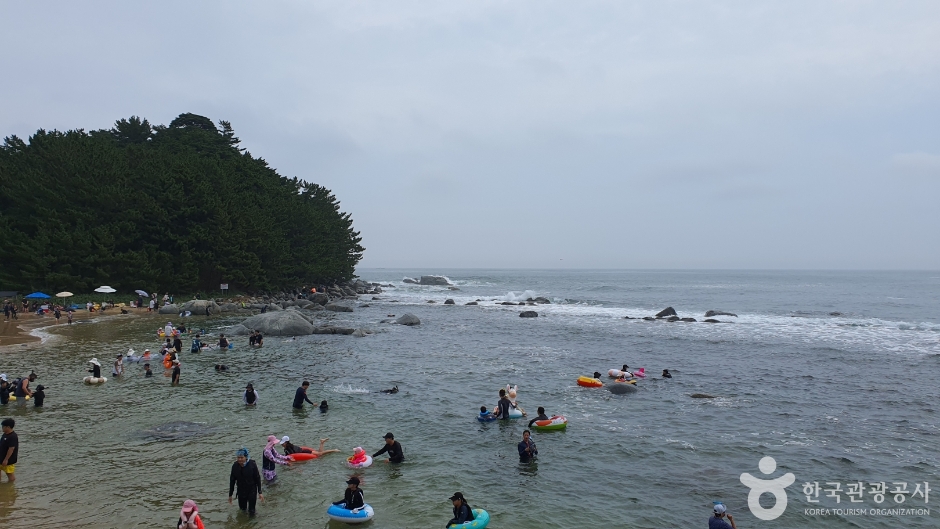 馬車津海岸