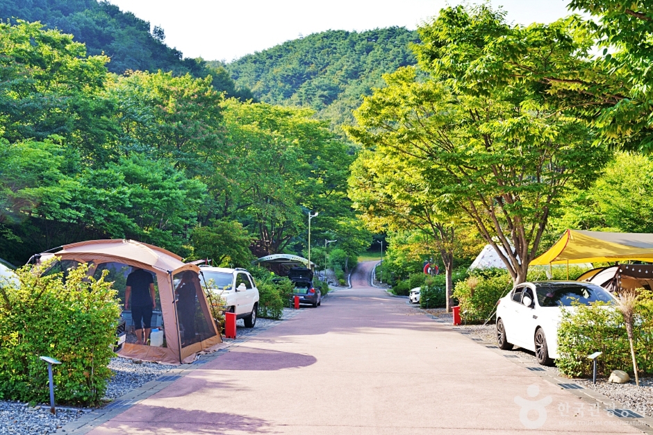大屯山道立公园 水落露营地