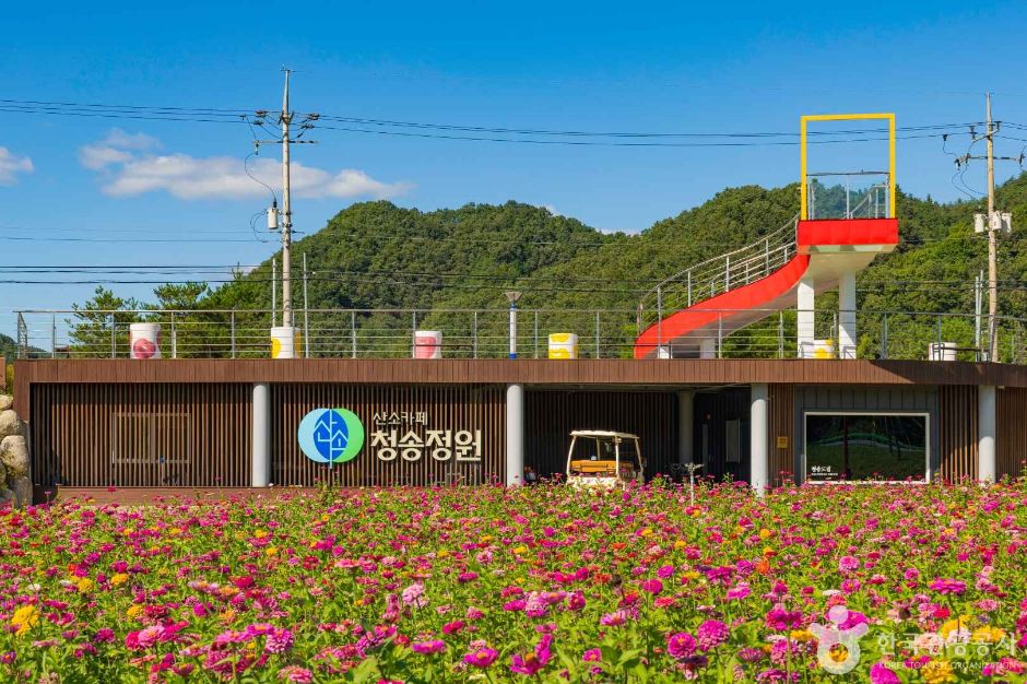 酸素カフェ青松庭園