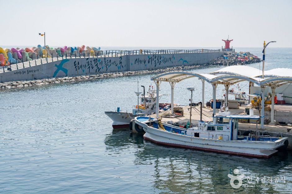 魚達港