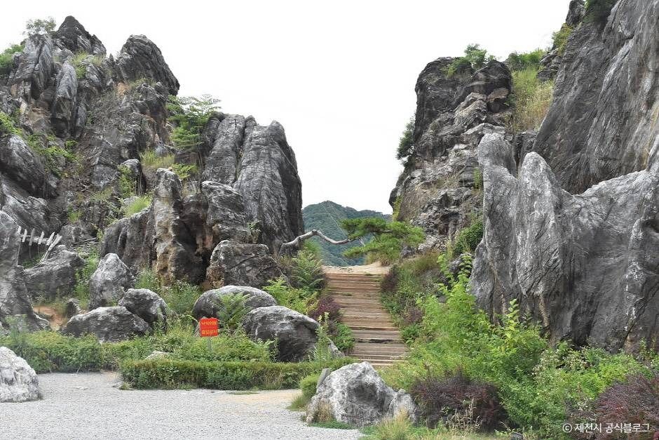 金月峰
