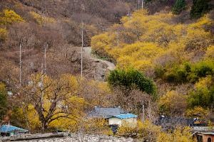 3568768 image3 1 예스키즈존 탐험대 : 실패 없는 육아여행