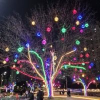 2025 온천천 빛 축제 6