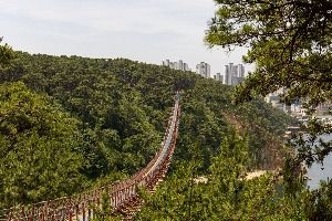 대왕암공원 출렁다리 (2) 미리보기