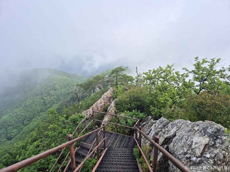 錦繡山