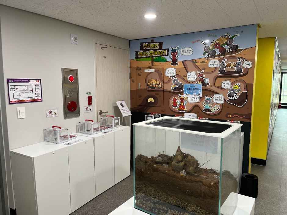 원주_원주시미래성장교육관 (3).jpg