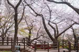 인천_중구_자유공원_외부_6.jpg