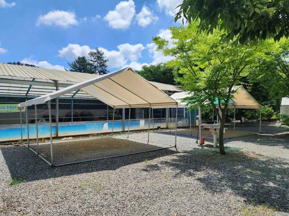 ソルバッ体育公園オートキャンプ場