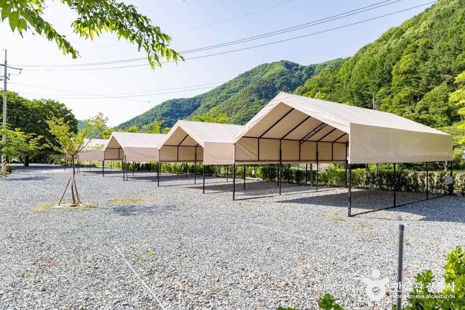 월악 파머스 캠핑장 - 충청북도 제천시 월악산로 450-5 관광 명소