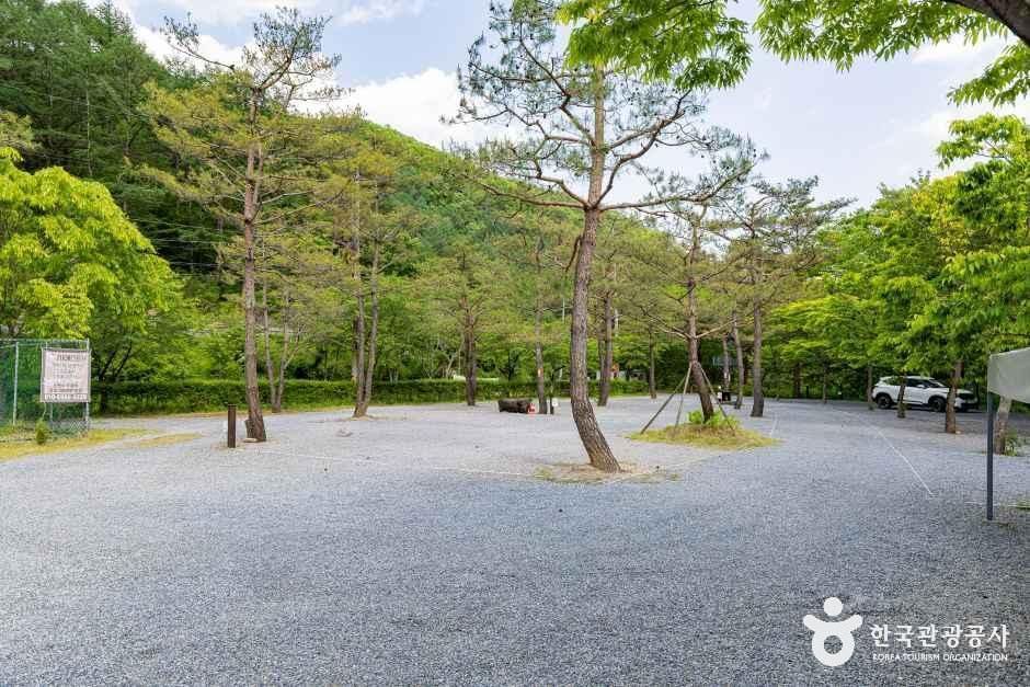 덕동소풍가는날 펜션캠핑장