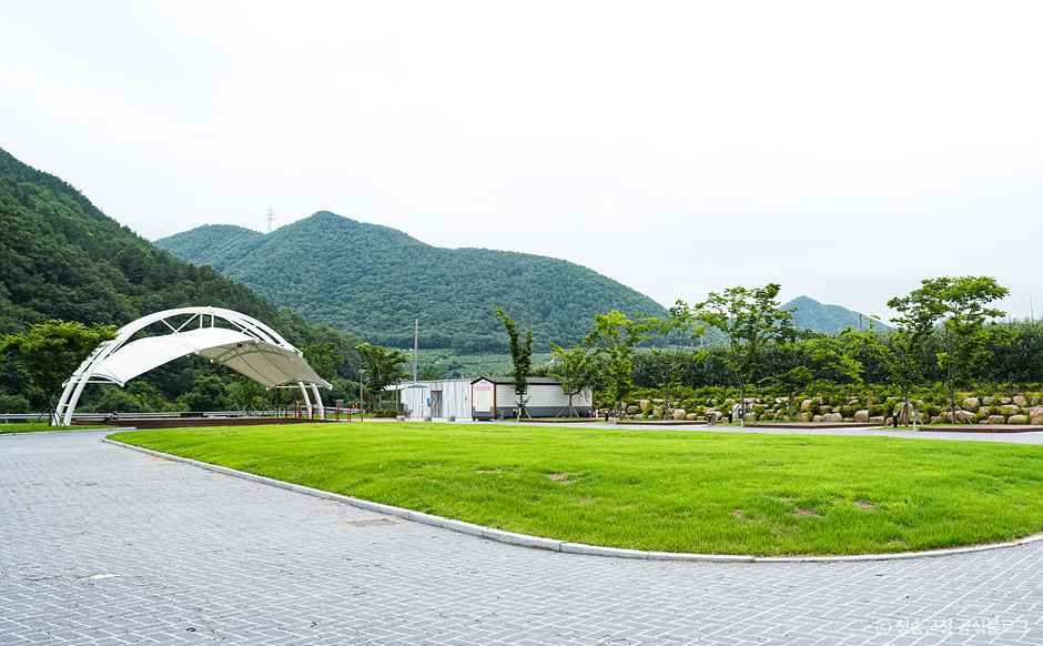 청송_백석탄골부리캠핑장 (1).jpg