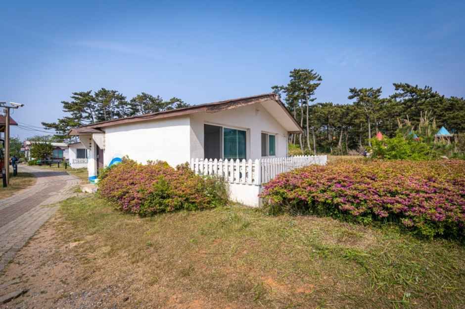블루오션 리조트 3
