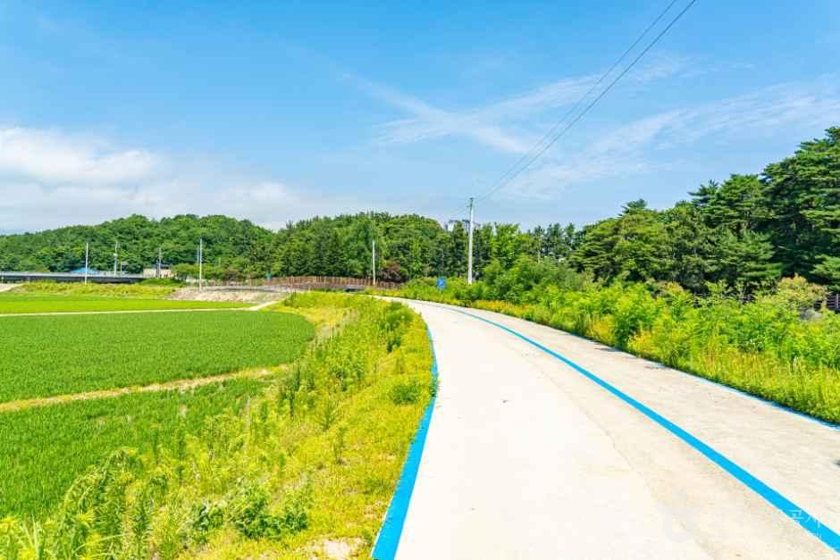 [江原平和ヌリ サイクルロード 17コース] 高城 松池湖 渡り鳥の道