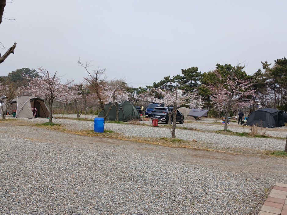 대부도아라뜰캠핑장