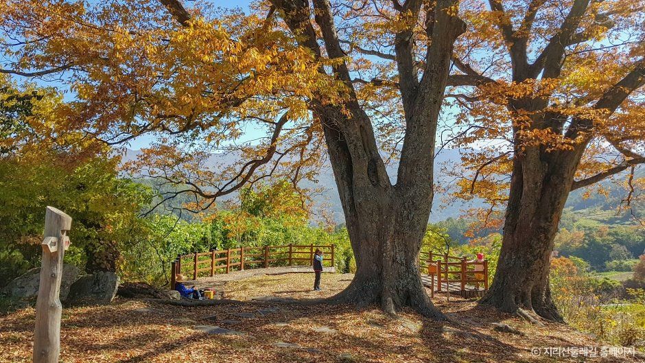 남원_[지리산둘레길] 인월-금계  (4).jpg