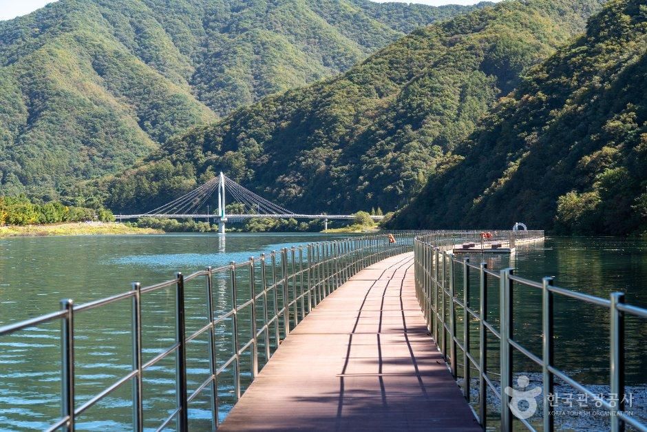 숲으로다리
