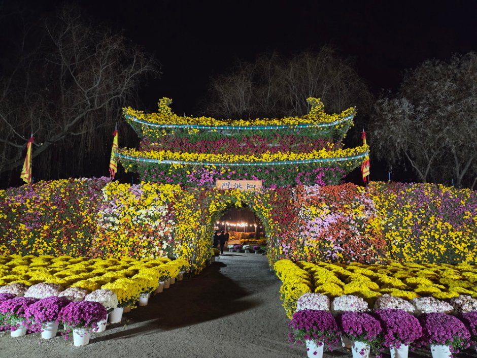 Buyeo Chrysanthemum Festival