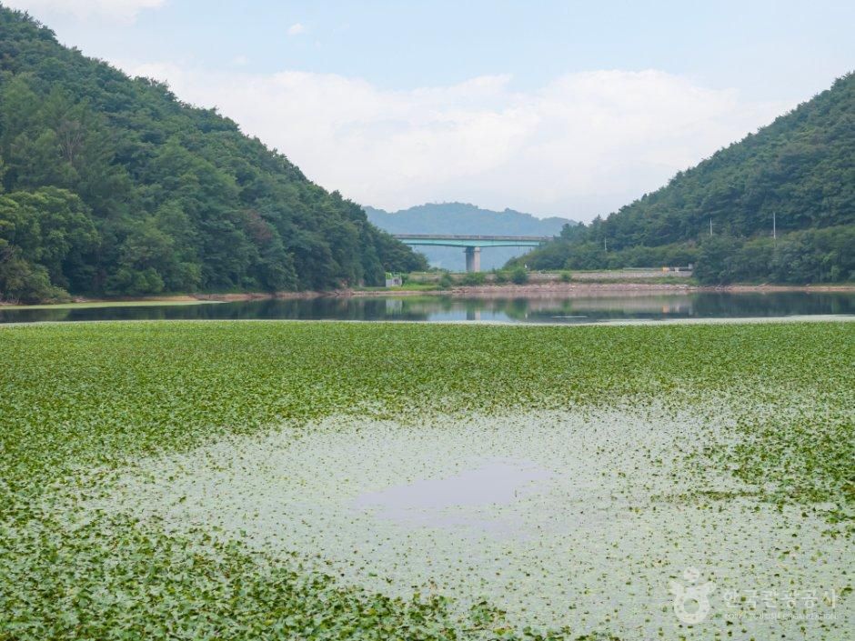 충남_금산군_숭암저수지 (4).jpg